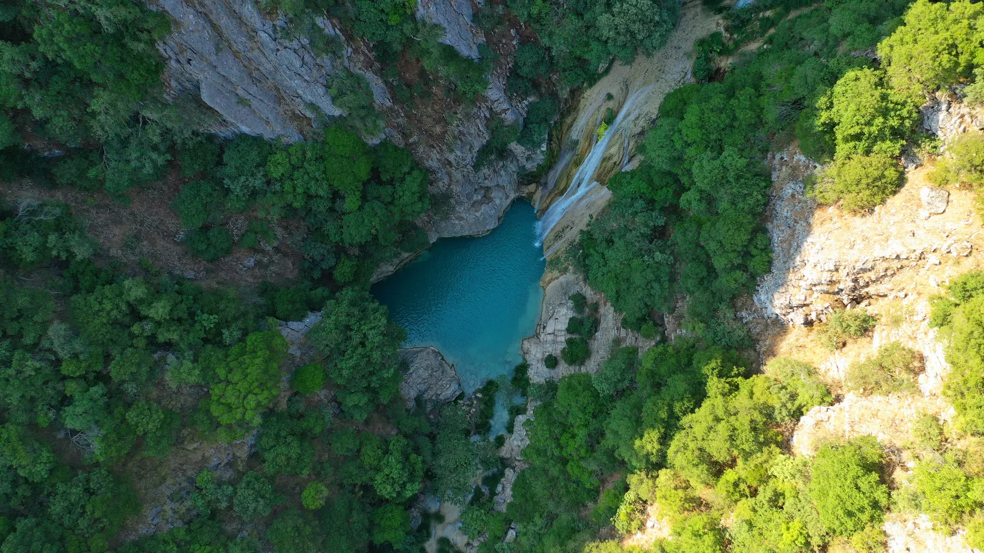 travelgo.gr