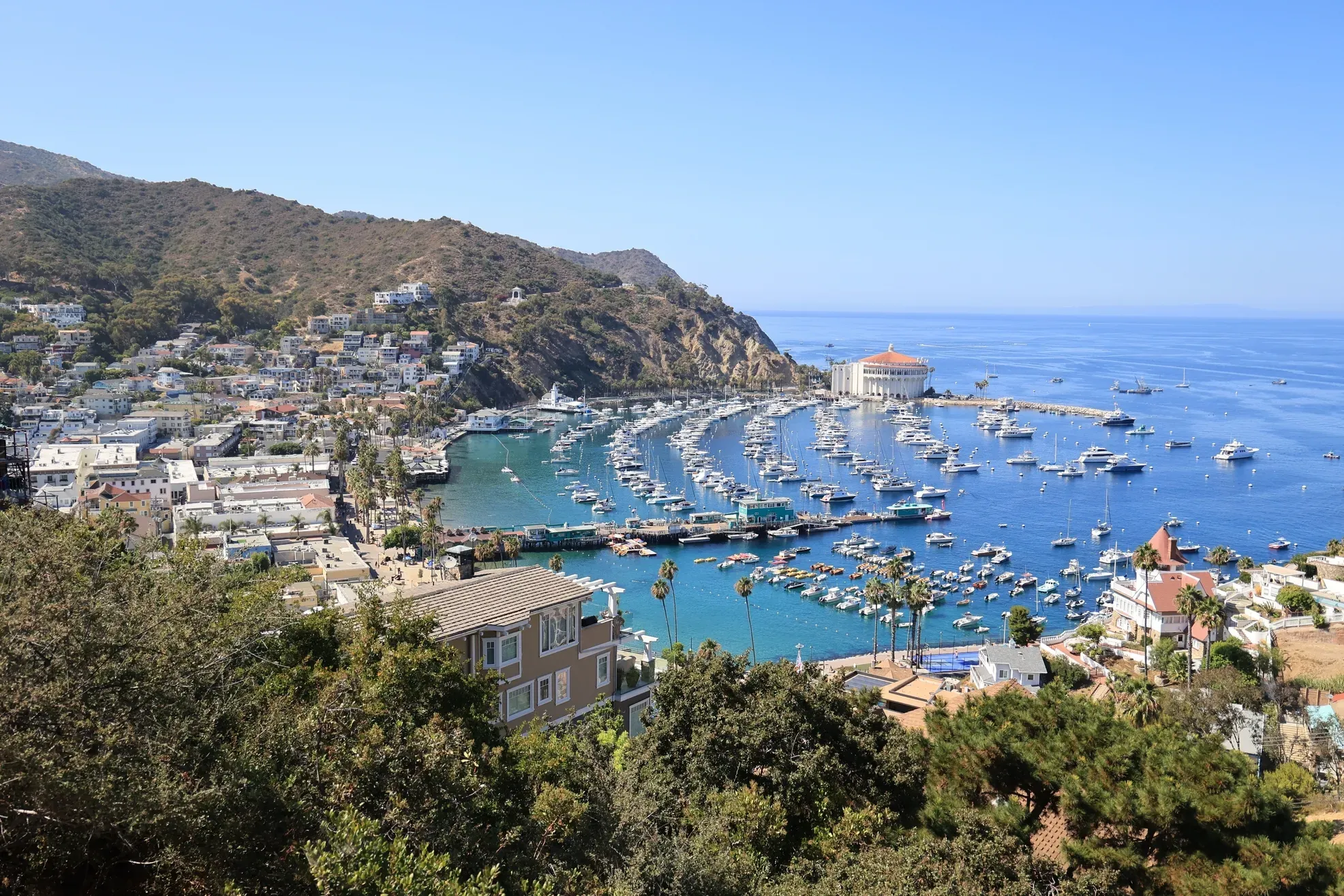 Santa_catalina