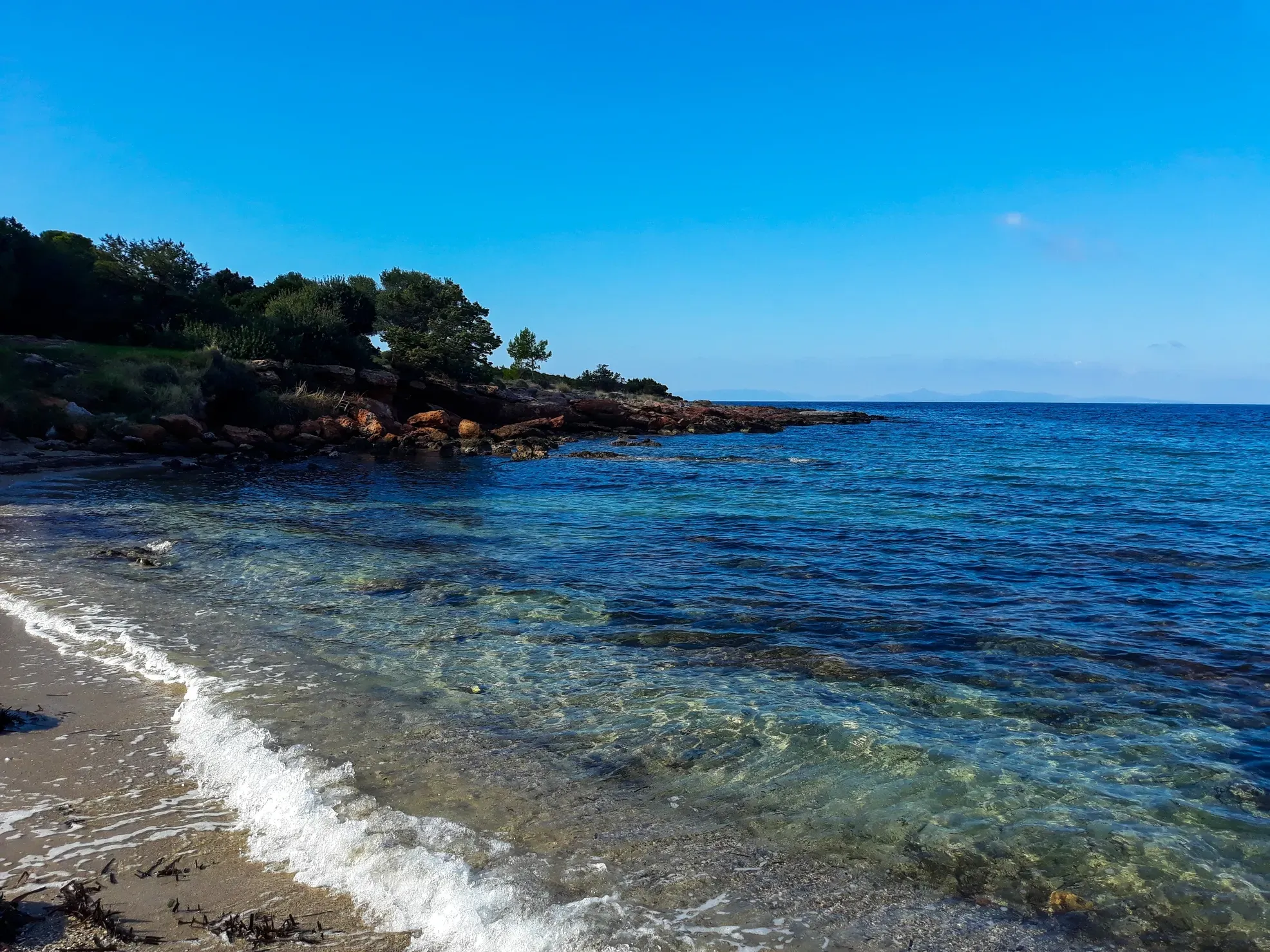 Saronida