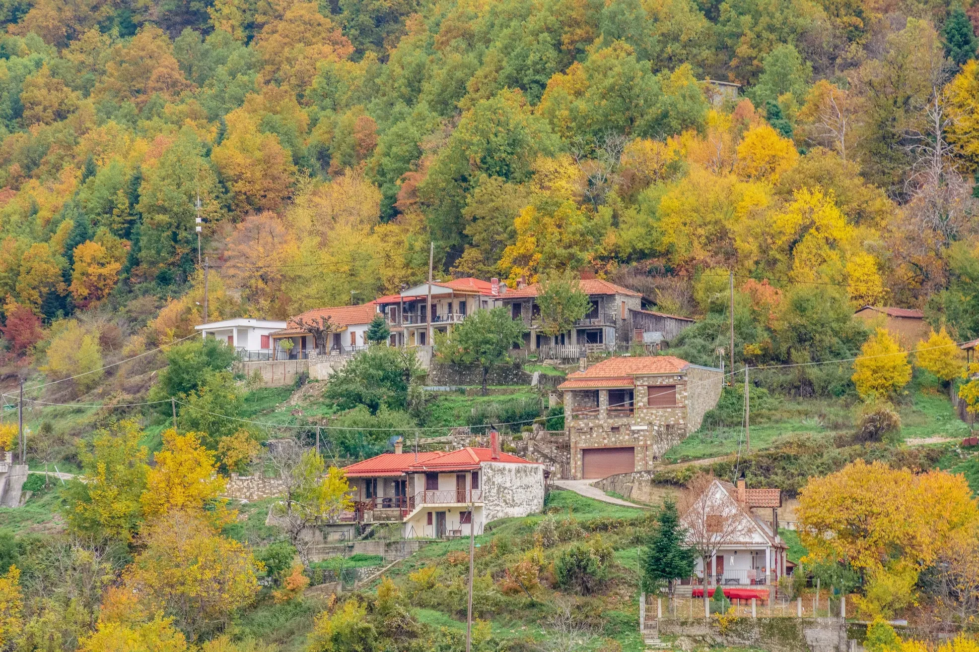 Pezoula