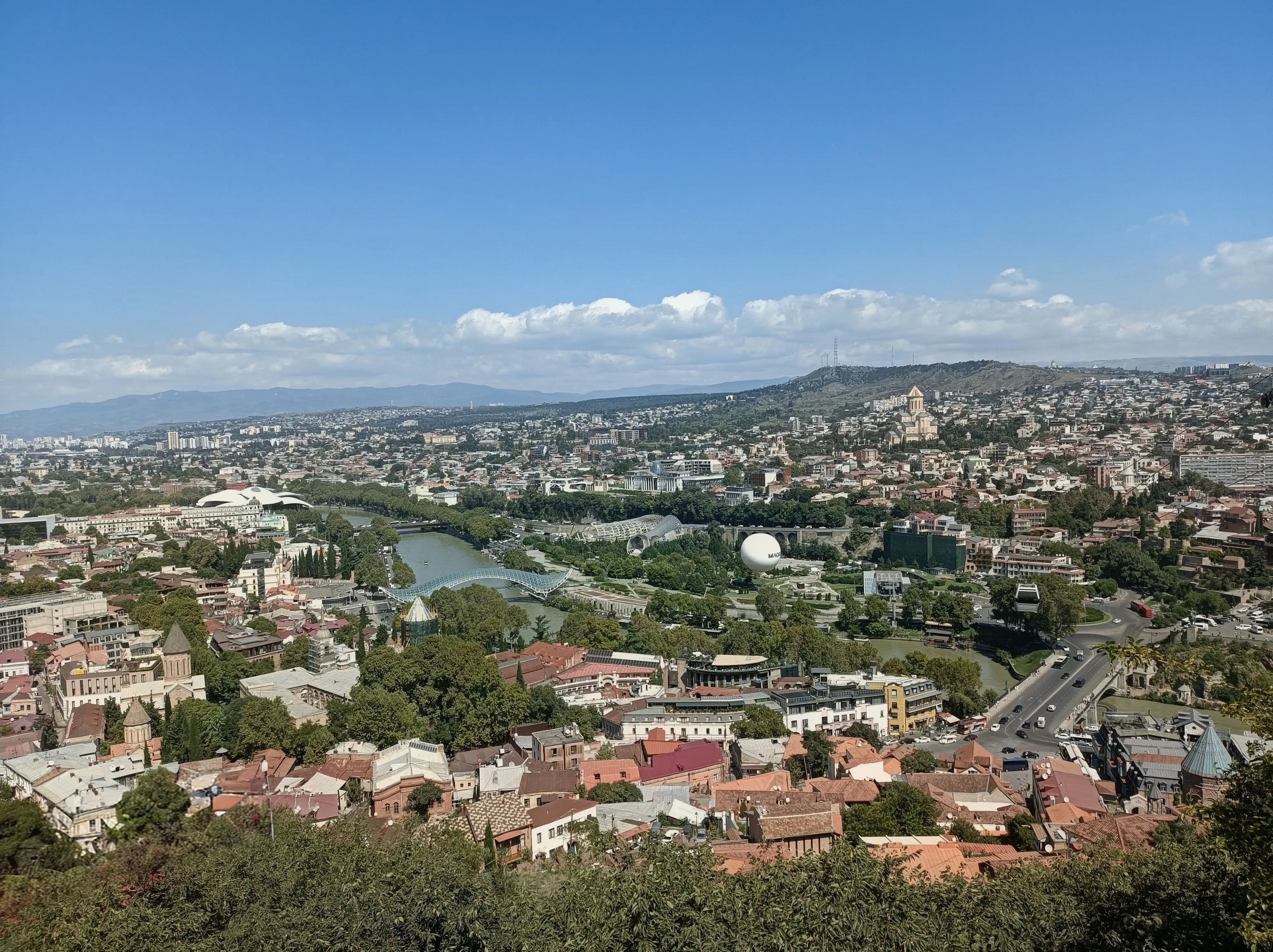 Tiflida