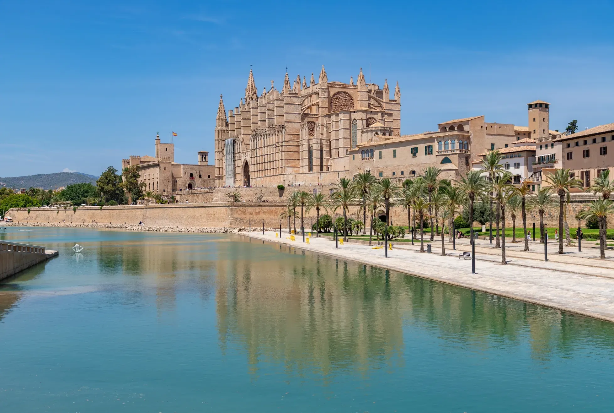 Palma