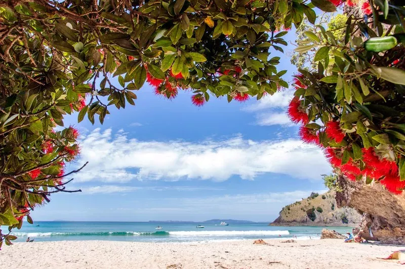 New Chums Beach, Νέα Ζηλανδία