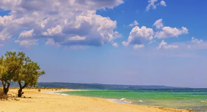 Pescoluse, Leuca