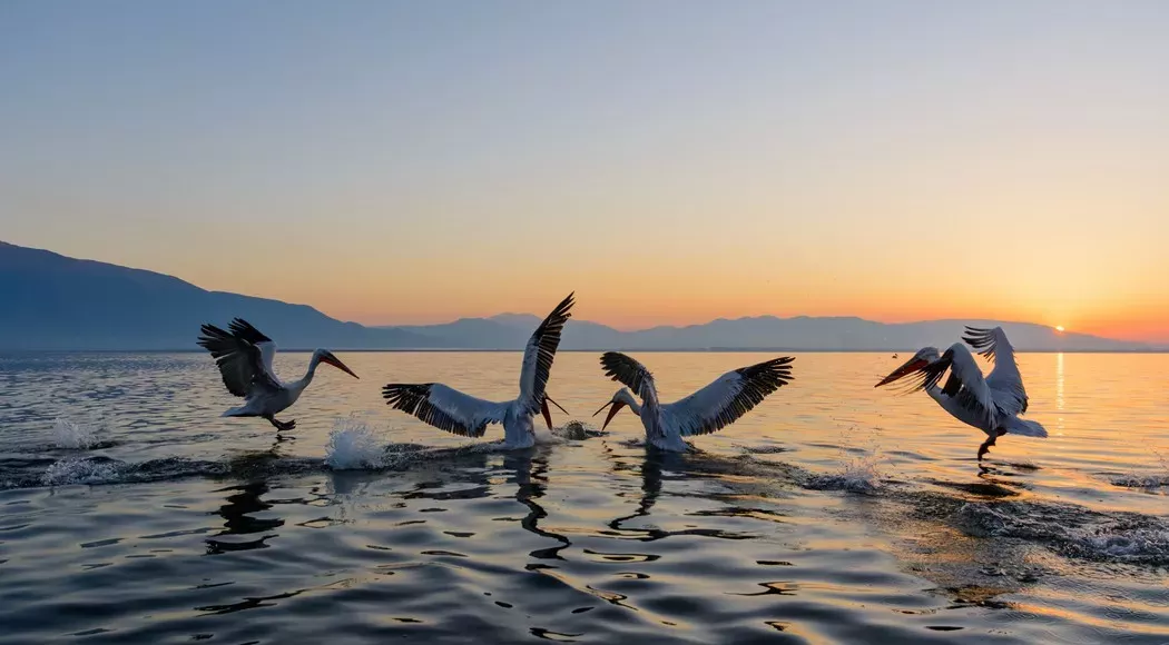 Λίμνη Κερκίνη, Σέρρες