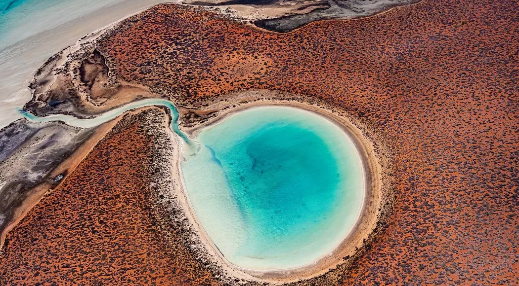 Shark Bay, Αυστραλία