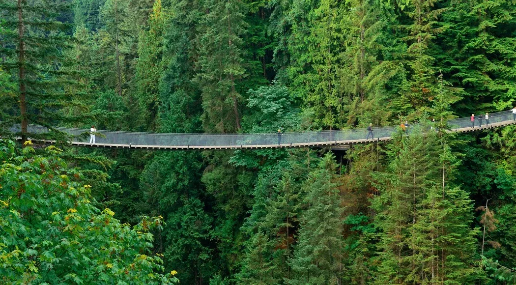 Capilano Suspension Bridge, Βανκούβερ, Καναδάς