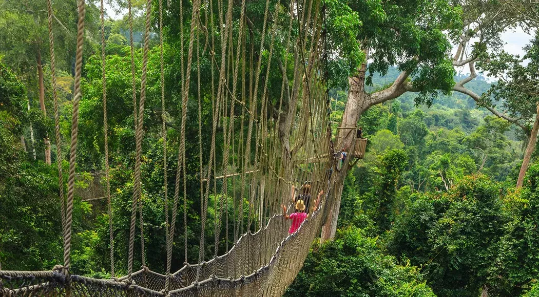 Kakum Canopy Walkway, Γκάνα