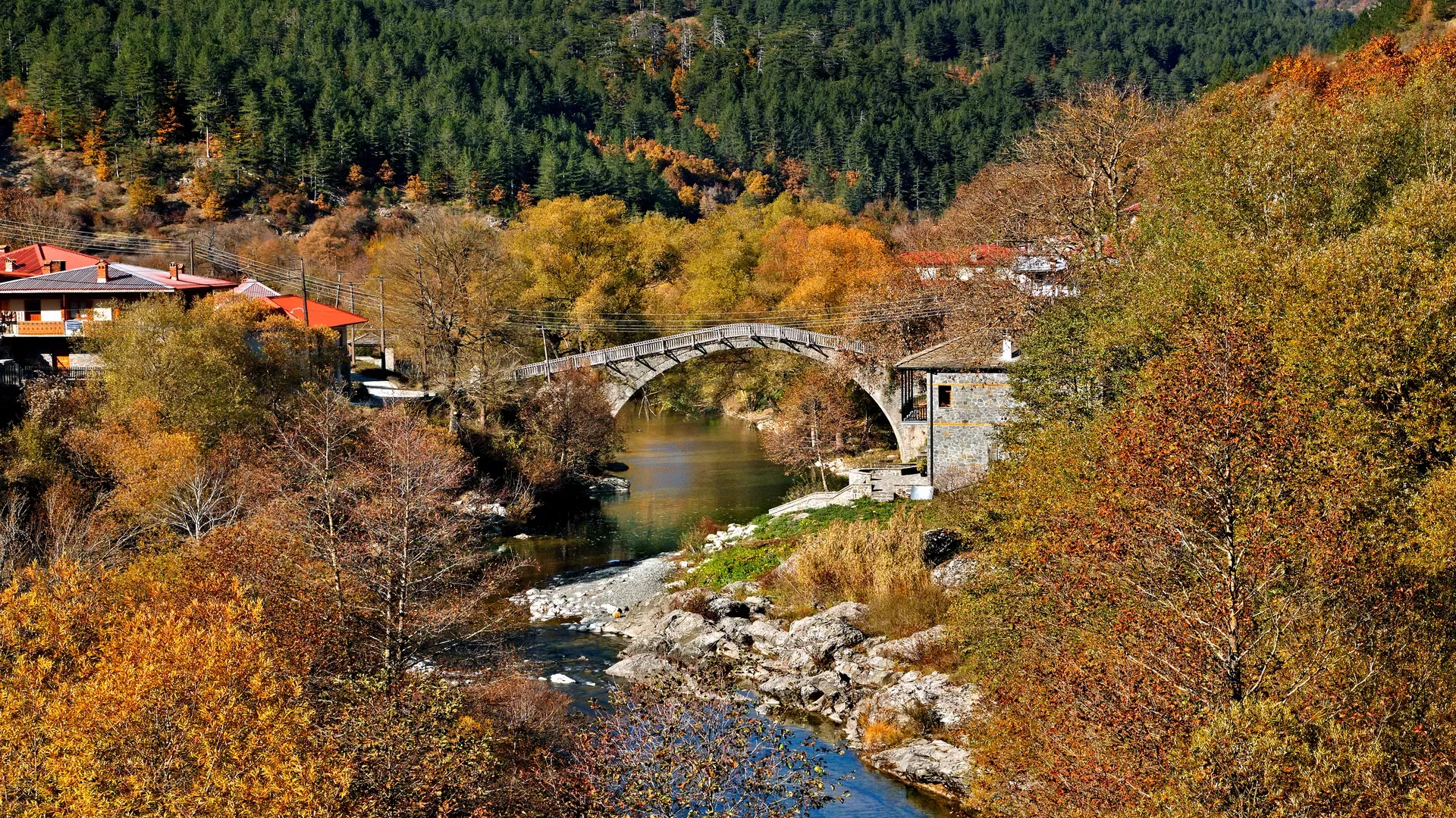 travelgo.gr