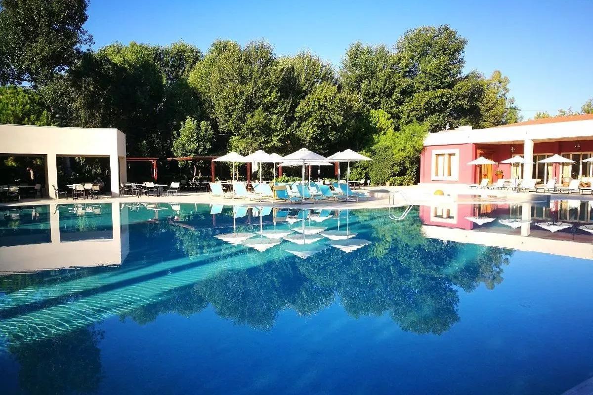 travelgo.gr