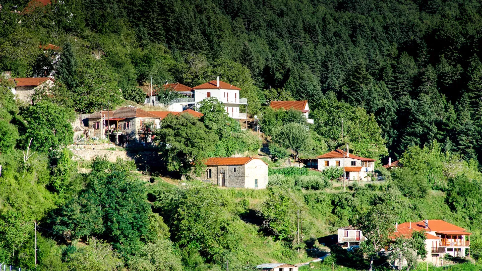 travelgo.gr