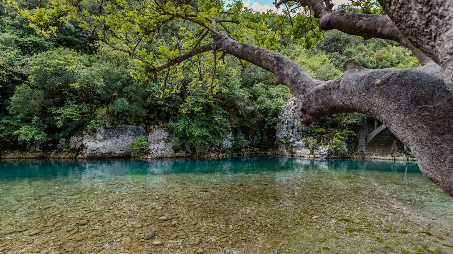 Ιωάννινα: Η παραμυθένια πόλη της Ηπείρου με την πλούσια ιστορία