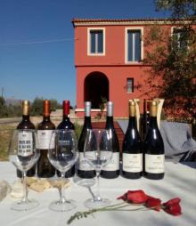 Koroniotis Winery