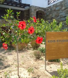 Kois Studios