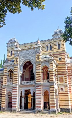 Tiflida