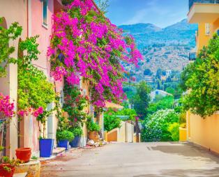 Δρόμοι στην Κεφαλονιά / Πηγή: Shutterstock