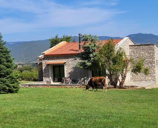 Αγρόκτημα Αμφίκαια: Ένας μικρός παράδεισος στις πλαγιές του Παρνασσού