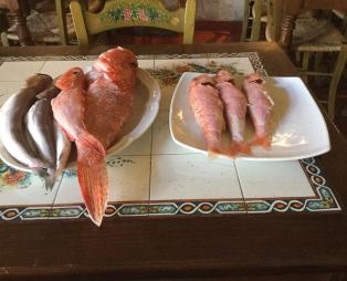 Οίστρος by Aktida: Όταν η γευστική παράδοση της Αράχωβας συναντά την πρωτοτυπία