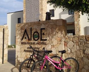 Aloe Boutique Hotel: Απολαύστε απόλυτα αναζωογονητικές διακοπές στην Κρήτη