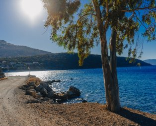 Θήβα: Ταξιδέψαμε στην πόλη όπου ζωντανεύει η μυθολογία