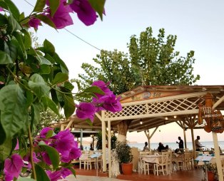Blue Sea: Αυθεντική θαλασσινή κουζίνα στον Κατελειό Κεφαλονιάς