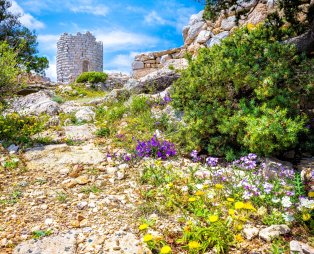 Πύργος Δράκανου (πηγή: Shutterstock)
