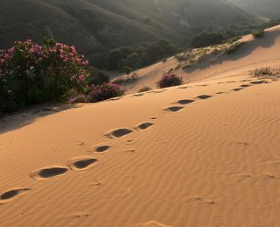 Αμμοθίνες Λήμνου (πηγή: Shutterstock)