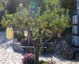 Elysian Luxury Villa: Απόδραση για όλες τις εποχές στην Τσαγκαράδα