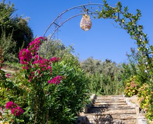 Elysian Luxury Villa: Απόδραση για όλες τις εποχές στην Τσαγκαράδα