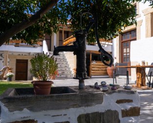 Orange Garden Apartments & Rooms: Γαλήνια φιλοξενία στα Καλά Νερά Πηλίου