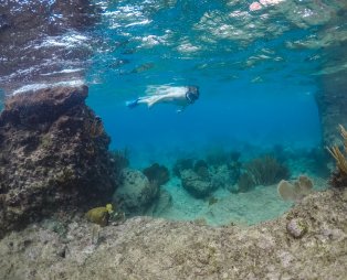 Κουρασάο: Τι μπορείς να δεις και να κάνεις στο μικροσκοπικό νησί της Καραϊβικής