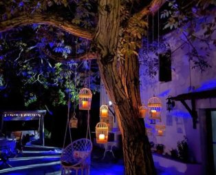 Villa Olive: Ένας μικρός παράδεισος στο Πήλιο