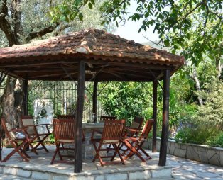 Villa Olive: Ένας μικρός παράδεισος στο Πήλιο