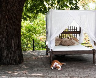 Cascara Escape: Πολυτελής απόδραση στο Μούρεσι Πηλίου