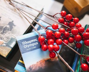 Malathro Olympus Guest House: Μαγευτική διαμονή στους πρόποδες του Ολύμπου