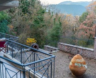 The Foxes: Ένα καταφύγιο στην καρδιά του ελατοδάσους στο Μεγάλο Χωριό Ευρυτανίας