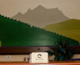 TO KALLION: Ένας παραδοσιακός ξενώνας στο Κλαυσί Ευρυτανίας με υπέροχη θέα στο βουνό 