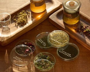 Petra Restaurant: Η γαστρονομική καρδιά του Sun Aeriko στην Τήνο