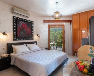 Villa Ηaroula: Ποιοτικές διακοπές στη γραφική Πάργα