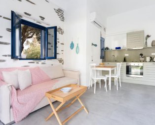 Alasthas Beach Houses: Απολαύστε χαλαρωτικές διακοπές στην Άνδρο