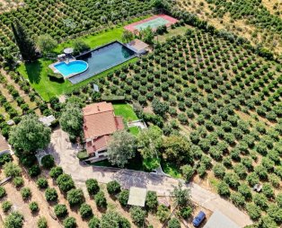 Orange Grove Villa: Μια ιδιωτική όαση μέσα στις πορτοκαλιές του Ναυπλίου
