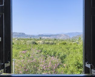 Orange Grove Villa: Μια ιδιωτική όαση μέσα στις πορτοκαλιές του Ναυπλίου
