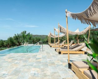 Liostasi Luxury Suites: Accommodation in a lush olive grove in Messinia