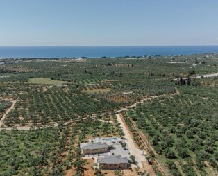 Liostasi Luxury Suites: Accommodation in a lush olive grove in Messinia