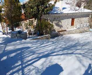 Triantafyllies Guesthouse: Authentic Pelion hospitality in Portaria