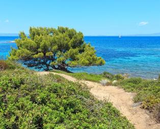 Επτά λόγοι για να επισκεφθεί κάποιος τη Χαλκιδική, σύμφωνα με το Focus (pics)