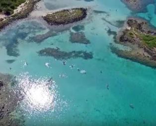 Ποιος τρέχει μέχρι τις Σεϋχέλλες, όταν υπάρχουν τα Λιχαδονήσια; (pics & vids)