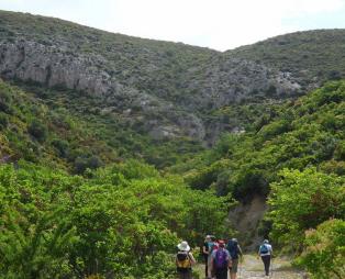 Evia Adventure Tours: Ανακαλύψτε τις κρυμμένες ομορφιές της Εύβοιας