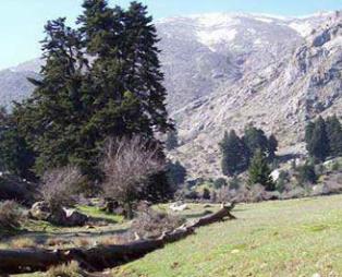 Τα Τρίκαλα Κορινθίας είναι ο απόλυτος, κοντινός, χειμερινός προορισμός (pics)