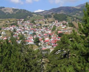 Γρεβενά: Η πόλη των μανιταριών, των χωριών και των δασών (pics)